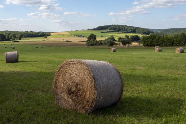 Een actieve vakantie in België