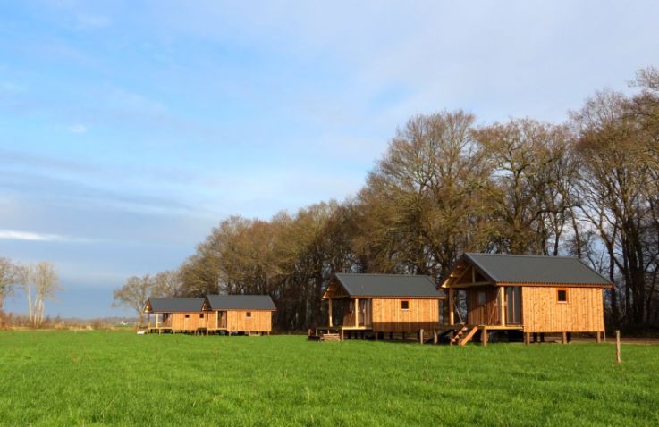 Natuurhuisje in Ruinerwold - Lodges Drenthe