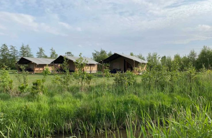 Camping Natuurlijk de Veenhoop – Safaritenten Friesland