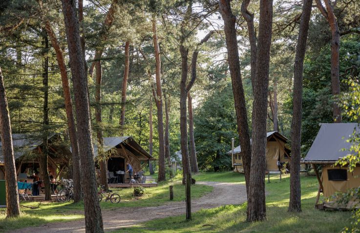 Camping Huttopia De Veluwe – Glamping tenten in Gelderland