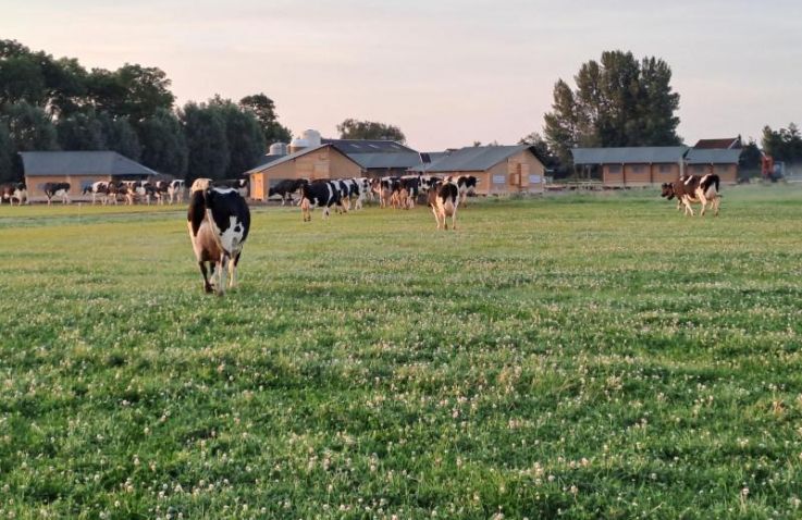 FarmCamps Kooij Hoeve - Safaritenten Zuid-Holland