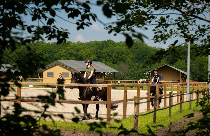 FarmCamps Holzik Stables - Safaritenten Overijssel