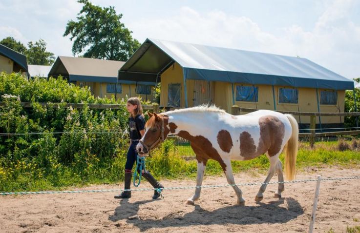 FarmCamps Fleur Stables - Safaritenten in Noord-Holland