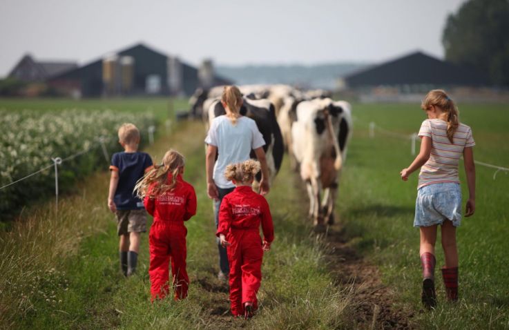 FarmCamps Op Flakkee - Safaritenten in Zuid-Holland