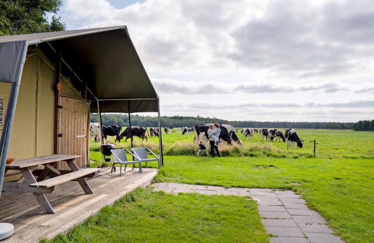 FarmCamps 't Looveld - Safaritenten in Drenthe