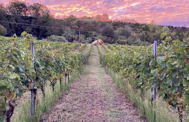 Brezza di sera agriturismo - Glampingtenten Le Marche