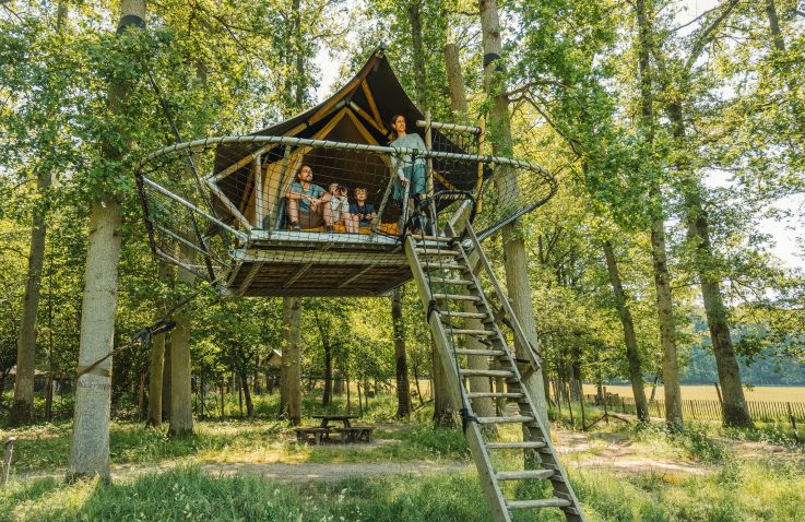 Domein van de Grotten van Han - Tree Tents Belgische Ardennen